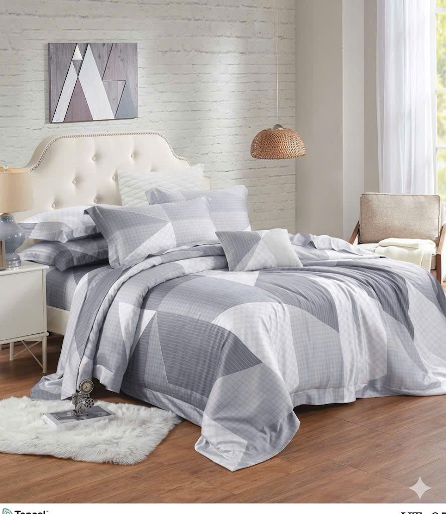 Bộ Chagota Modal Vip kèm mền