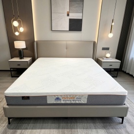 Nệm foam cao su Kim Cương Future